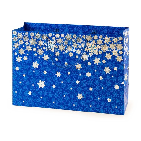 «Жора» ПТК-25