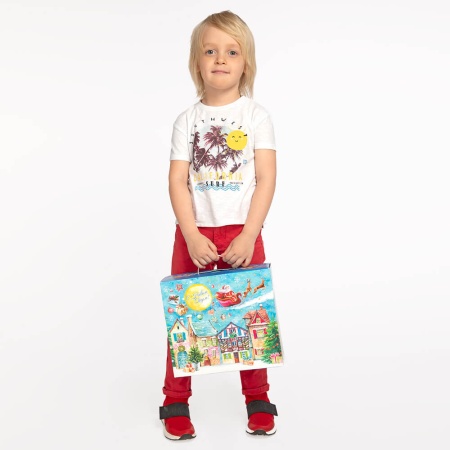 Набор №17 (игра + книга) НТ-17